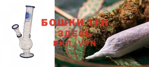 прущие грибы Баксан
