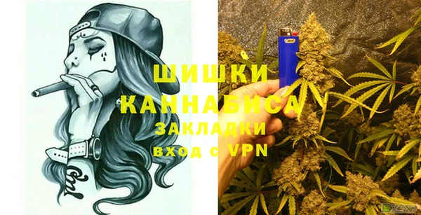 кокс Богородицк