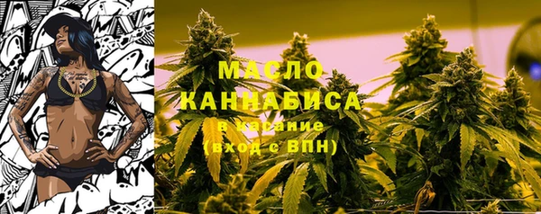 МДПВ Богородск