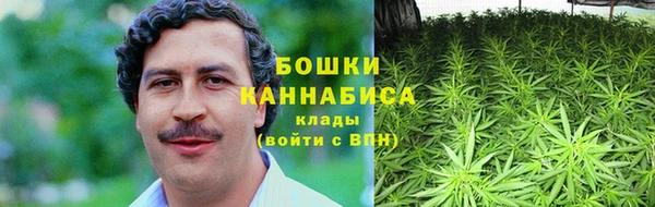 кокс Богородицк